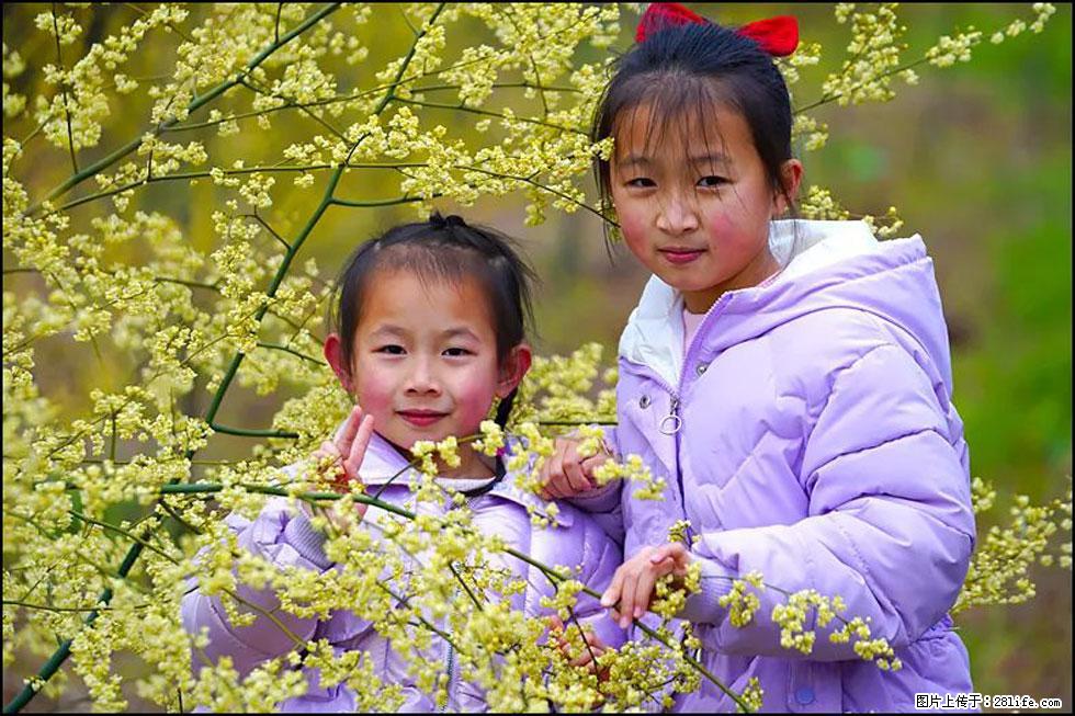 【春天，广西桂林灌阳县向您发出邀请！】米珠山前有片山苍子花在飘香 - 游山玩水 - 延边生活社区 - 延边28生活网 yanbian.28life.com