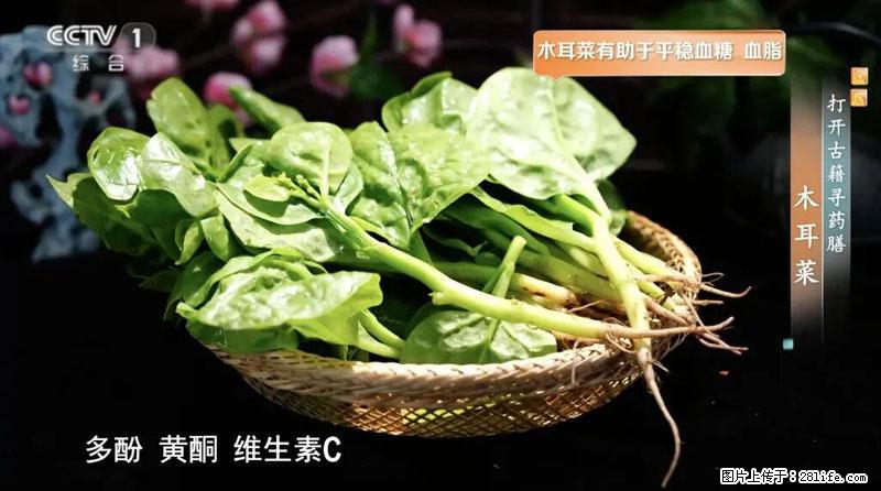 比牛奶补钙还厉害！凉血解毒、稳血糖...这菜冬天必吃，很多人却当草 - 延边生活资讯 - 延边28生活网 yanbian.28life.com