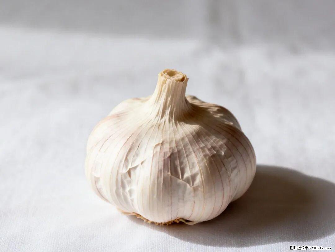 关于大蒜，除了“天然抗生素”，这4个谣言更该警惕! - 延边生活资讯 - 延边28生活网 yanbian.28life.com