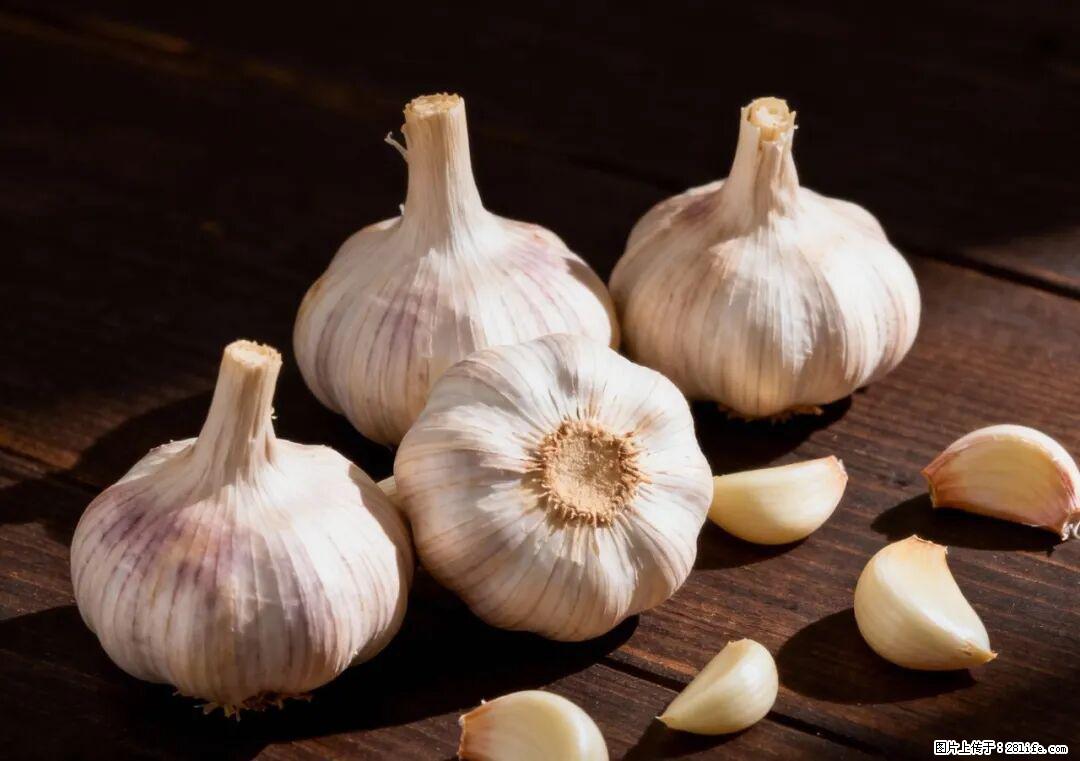 关于大蒜，除了“天然抗生素”，这4个谣言更该警惕! - 延边生活资讯 - 延边28生活网 yanbian.28life.com