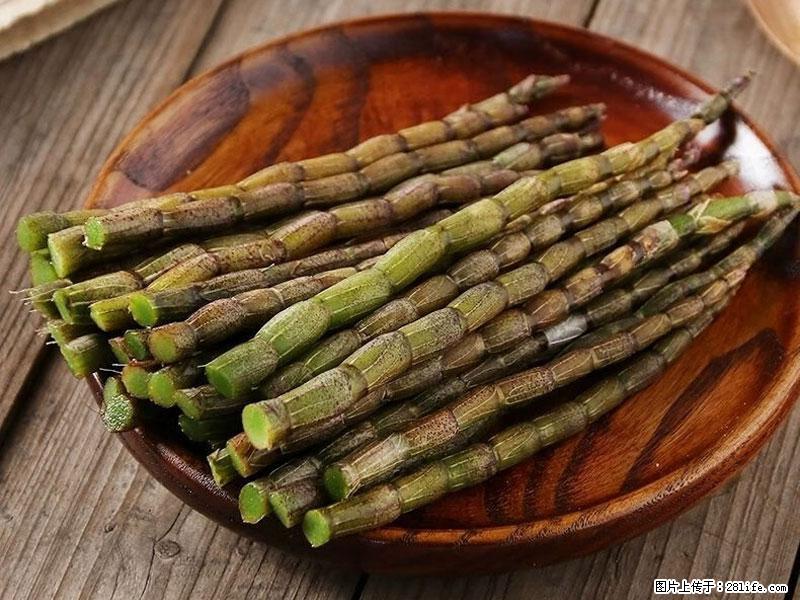 铁皮石斛的作用与功能主治 - 延边生活资讯 - 延边28生活网 yanbian.28life.com