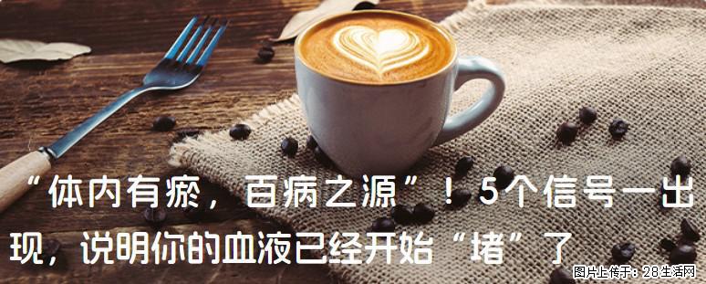 “体内有瘀，百病之源”！5个信号一出现，说明你的血液已经开始“堵”了 - 延边生活资讯 - 延边28生活网 yanbian.28life.com