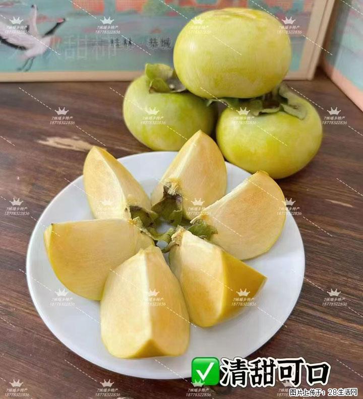 广西桂林平乐桥亭【红心猕猴桃】、【大秋甜柿】上市啦，欢迎各位新老客户下单（另有少量小果出售） - 延边生活资讯 - 延边28生活网 yanbian.28life.com